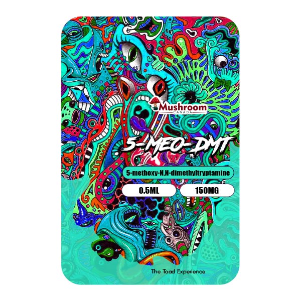 Blog | Shenai DMT Carts Insights and Updates